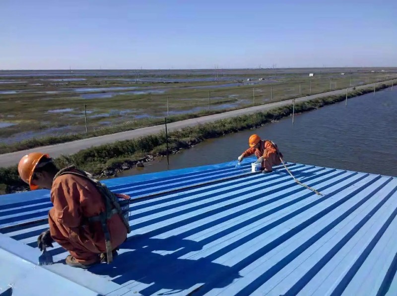 沂源钢结构屋面漏水原因